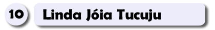 10 – Linda Jóia Tucuju.fw