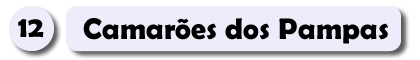 12 – Camarões.fw