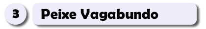 3 – Peixe Vagabundo.fw