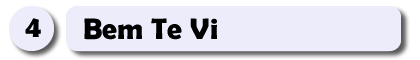 4 – Bem Te Vi.fw