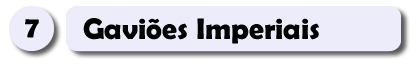 7 – Gaviões Imperiais.fw